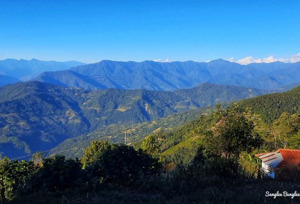 Tsirang dara